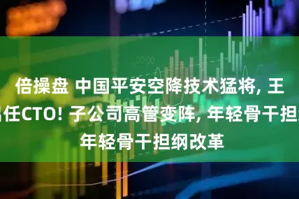 倍操盘 中国平安空降技术猛将, 王晓航出任CTO! 子公司高管变阵, 年轻骨干担纲改革