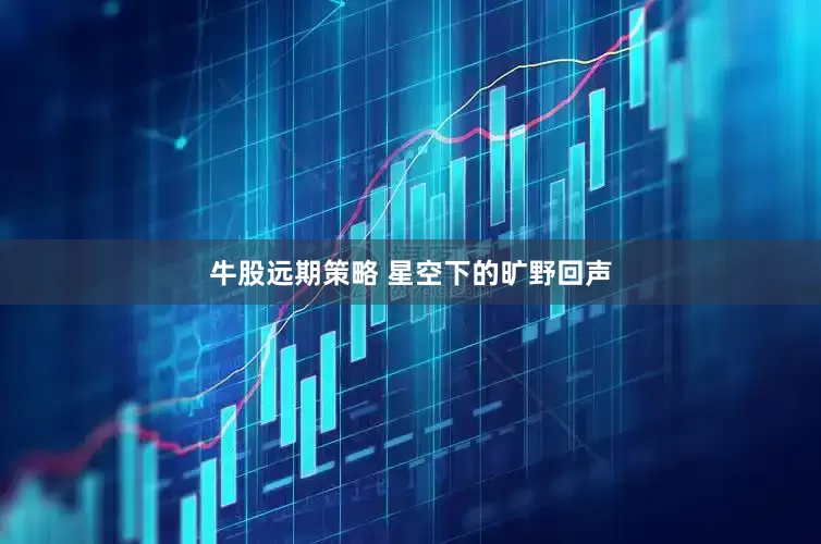 牛股远期策略 星空下的旷野回声